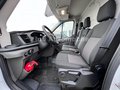Daumennagel 15 - Ford Transit Kasten 350 L3H2 *LADERAUMVERKL*DAB*SOFOR   LADERAUMVERKL DAB SOFOR