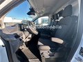 Daumennagel 19 - Volkswagen T7 Transporter Kasten LR 170 PS AUT AHK LED HOLZ