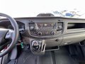 Daumennagel 20 - Ford Transit Kasten 310 L3H2 *DAB*INNENRAUMVERKL*SOFO   DAB INNENRAUMVERKL SOFO