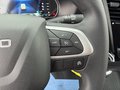 Daumennagel 24 - Iveco Daily 35S16HAV 3.0L H3 MAXI KAMERA 3,5AHK HOLZ
