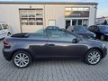Daumennagel 4 - Volkswagen Golf Cabrio 1.4 TSI Life 1.Hand/150ps/Klimaautomat./SHZ/AHK/8xbereift