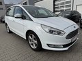 Daumennagel 3 - Ford Galaxy 2.0 Flexifuel Titanium Zahnriem.W.P NEU/7 Sitze/NAVI/PDC/AHK