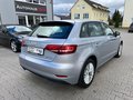Daumennagel 11 - Audi A3 35 TDI DPF S tronic Sportbak BI-Xenon/NAVI/SHZ/PDC/8xREIFEN