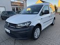 Daumennagel 1 - Volkswagen Caddy Kombi 2.0 TDI BMT Zahnrim.&Wass.P/KLIMA/SHZ/NAVI