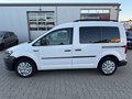 Daumennagel 9 - Volkswagen Caddy Kombi 2.0 TDI BMT Zahnrim.&Wass.P/KLIMA/SHZ/NAVI