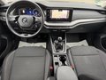 Daumennagel 5 - Skoda Octavia Combi 2.0 TDI "Ambition" 1.Hand/BI-Xenon/NAVI/AHK/8x Bereift