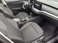 Daumennagel 19 - Skoda Octavia Combi 2.0 TDI "Ambition" 1.Hand/BI-Xenon/NAVI/AHK/8x Bereift