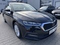 Daumennagel 3 - Skoda Octavia Combi 2.0 TDI "Ambition" 1.Hand/BI-Xenon/NAVI/AHK/Neu Reifen