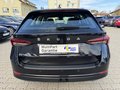 Daumennagel 22 - Skoda Octavia Combi 2.0 TDI "Ambition" 1.Hand/BI-Xenon/NAVI/AHK/Neu Reifen