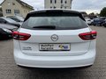 Daumennagel 10 - Opel Insignia 2.0 CDTI Sports Tourer NAVI/SHZ/BI-Xenon/AHK
