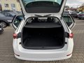 Daumennagel 14 - Skoda Octavia Combi Ambition 1.5 TSI Euro6d-temp/Appl.CarP./SHZ/smart-AC/8xbereift