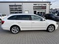Daumennagel 4 - Skoda Superb 2.0 TDI Ambition Green tec 1.Hand Neu Zahnriemen/BI-XENON/Memory Sitze