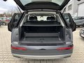 Daumennagel 14 - Audi Q7 50 TDI quattro Hybr.Diesel/E /Pan.Dach/Neu S.Reifen+W.Reifen