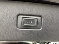 Daumennagel 16 - Audi Q7 50 TDI quattro Hybr.Diesel/E /Pan.Dach/Neu S.Reifen+W.Reifen