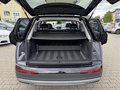 Daumennagel 16 - Audi Q7 50 TDI quattro AUF WUNSCH AHK EINBAU/Luftfederung