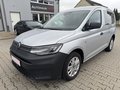 Daumennagel 1 - Volkswagen Caddy NEU ZAHNR.&WASS.P/.BI-Xenon/Klimaaut/SHZ/AHK