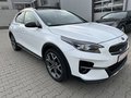 Daumennagel 3 - Kia XCeed Platinum Edition 40.TKM/PAN.SD/NAVI/KAMERA+PDC,,,,