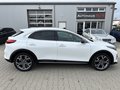 Daumennagel 4 - Kia XCeed Platinum Edition 40.TKM/PAN.SD/NAVI/KAMERA+PDC,,,,