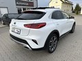 Daumennagel 12 - Kia XCeed Platinum Edition 40.TKM/PAN.SD/NAVI/KAMERA+PDC,,,,