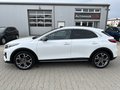 Daumennagel 9 - Kia XCeed Platinum Edition 40.TKM/PAN.SD/NAVI/KAMERA+PDC,,,,
