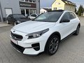 Daumennagel 1 - Kia XCeed Platinum Edition 40.TKM/PAN.SD/NAVI/KAMERA+PDC,,,,