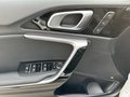 Daumennagel 15 - Kia XCeed Platinum Edition 40.TKM/PAN.SD/NAVI/KAMERA+PDC,,,,