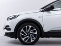 Daumennagel 6 - Opel Grandland Innovation /KAM/NAVI/LED/SHZ/