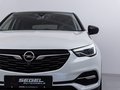 Daumennagel 7 - Opel Grandland Innovation /KAM/NAVI/LED/SHZ/