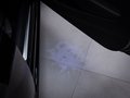 Daumennagel 18 - Audi A3 2.0TDI /NAVI/XENON/TEMP/SHZ/