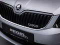 Daumennagel 7 - Skoda *NAVI*AHK*PDC*SHZ*TEMP*  NAVI AHK PDC SHZ TEMP