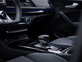 Daumennagel 14 - Audi SQ5 1.HAND/VIRTUAL/LUFT/AHK/RFK