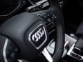 Daumennagel 17 - Audi SQ5 1.HAND/VIRTUAL/LUFT/AHK/RFK