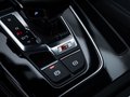 Daumennagel 18 - Audi SQ5 1.HAND/VIRTUAL/LUFT/AHK/RFK