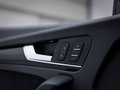 Daumennagel 20 - Audi SQ5 1.HAND/VIRTUAL/LUFT/AHK/RFK