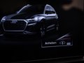 Daumennagel 36 - Audi SQ5 1.HAND/VIRTUAL/LUFT/AHK/RFK