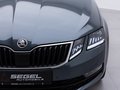 Daumennagel 7 - Skoda Octavia Combi Soleil /NAVI/AHK/LED/PDC/SHZ/