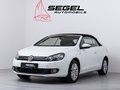 Daumennagel 1 - Volkswagen Golf VI Cabrio Life 1.2 TSI*PDC*SHZ*TEMP*