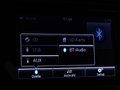 Daumennagel 21 - Skoda Octavia Combi RS /PANO//RFK/SHZ/PDC/