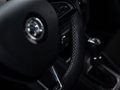 Daumennagel 25 - Skoda Octavia Combi RS /PANO//RFK/SHZ/PDC/