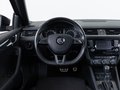 Daumennagel 9 - Skoda Octavia Combi RS /PANO//RFK/SHZ/PDC/