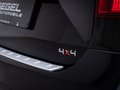Daumennagel 26 - Skoda Yeti Monte Carlo 2.0TDI 4x4 DSG /PANO/RFK/NAVI/TEMP/