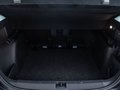 Daumennagel 28 - Skoda Yeti Monte Carlo 2.0TDI 4x4 DSG /PANO/RFK/NAVI/TEMP/