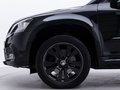 Daumennagel 6 - Skoda Yeti Monte Carlo 2.0TDI 4x4 DSG /PANO/RFK/NAVI/TEMP/