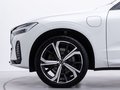 Daumennagel 6 - Volvo XC60 R Design  21ZOLL PANO ACC KAM AHK