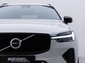 Daumennagel 7 - Volvo XC60 R Design  21ZOLL PANO ACC KAM AHK