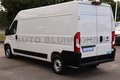 Daumennagel 7 - Fiat Ducato 35-D Kasten L4H2 Klima Kamera 2-Sitze PDC