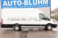 Daumennagel 3 - Ford Transit 350-EB Kasten L4H3 + Klima 3-Sitze Navi