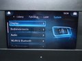 Daumennagel 21 - Mercedes-Benz Sprinter 317 CDI Kasten Maxi Cam AC 3-Sitze MBUX