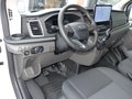 Daumennagel 13 - Ford Transit 350 Kasten L4H3 + Navi 360°-Kamera Klima