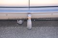 Daumennagel 8 - Volkswagen T6.1 TDI Kasten KR + AHK 2,5T 3-Sitze Klima PDC